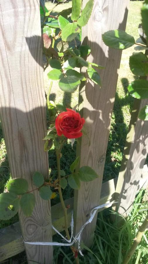 Rose View Cottage Le Cambout エクステリア 写真