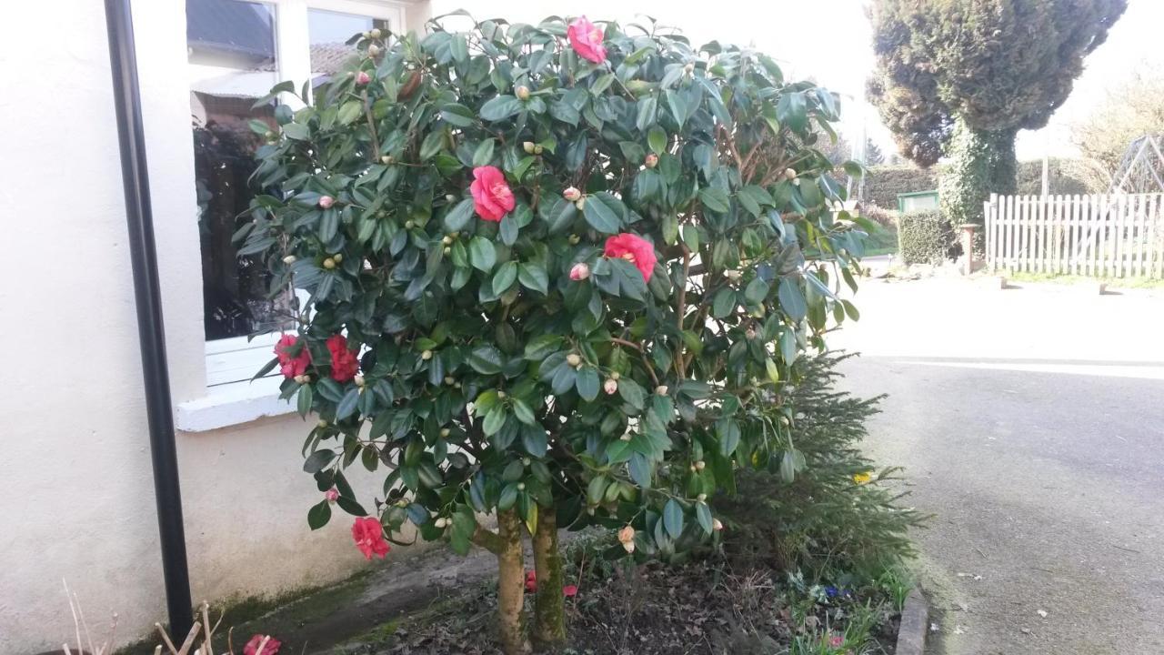 Rose View Cottage Le Cambout エクステリア 写真